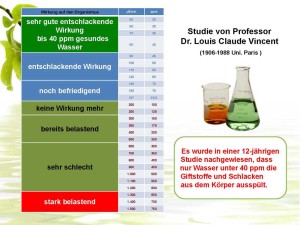 Studie-Prof-Dr-Louis-Claude-Vincent